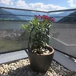 דירה Penthouse Sonnberg