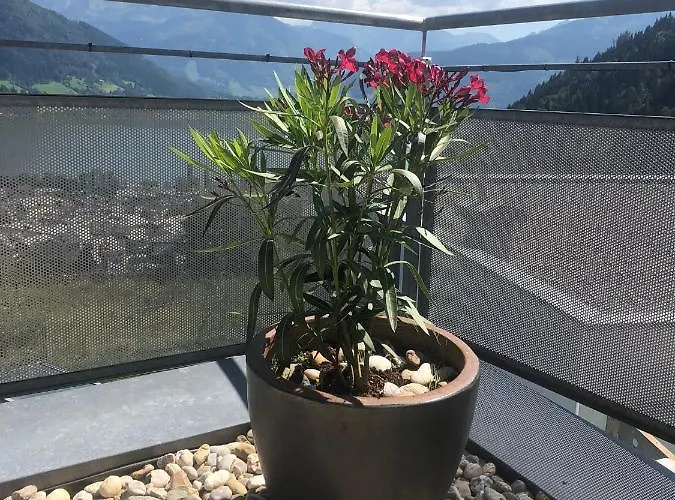 Daire Penthouse Sonnberg