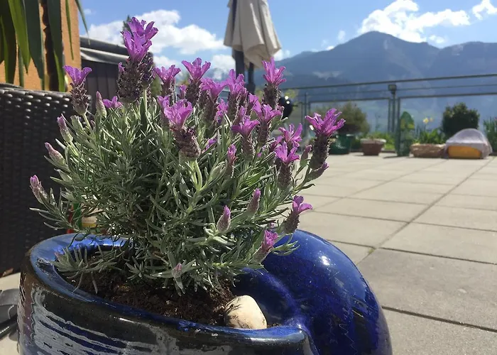 Daire Penthouse Sonnberg